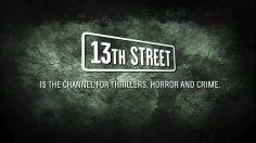 poster-19935-13th-street-last-call-last-call-236x132