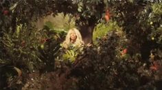 poster-19941-poise-eve-236x132