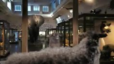 poster-19957-tele2-museum-236x132