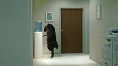 poster-19959-tele2-mobilt-internet-mega-duel-236x132