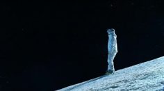 poster-19983-att-up-up-236x132