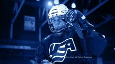 poster-19993-visa-go-world-alexi-236x132