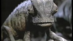 poster-2004-budweiser-expose-236x132