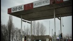 poster-20053-michelin-green-x-des-choses-etranges-se-produisent-a-la-station-service-236x132