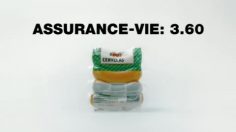 poster-20055-migros-m-budget-le-chien-236x132