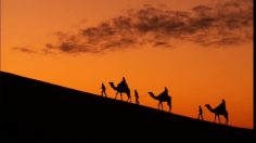 poster-20065-masbirim-gov-il-camel-236x132