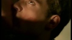 poster-2009-www-search-cade-com-le-chien-collant-236x132