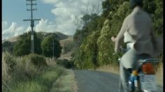 poster-20118-magners-cidre-straight-236x132