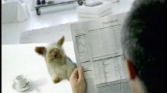 poster-2013-motorola-t-d1-vibreur-236x132