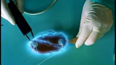 poster-2016-classic-ice-scanner-236x132