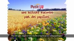 poster-20168-lu-petit-lu-les-papillons-236x132