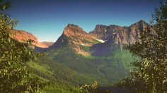 poster-20194-mcdonald-s-proud-papa-236x132