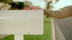 poster-20218-identity-guard-idcheckup-mailbox-236x132