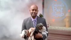 poster-20246-k-g-invincible-man-236x132