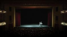 poster-20261-loewe-televiseur-swan-lake-236x132