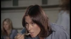 poster-2029-tv-land-survivor-charlie-s-angels-236x132