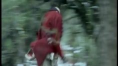 poster-20336-dodge-challenger-freedom-236x132