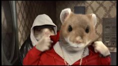 poster-20342-kia-soul-hamster-s-rap-236x132