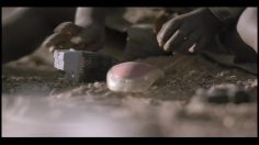 poster-20372-protection-enfance-protection-enfants-toy-236x132