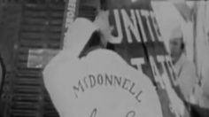 poster-20379-wwf-protection-environnement-monkey-236x132