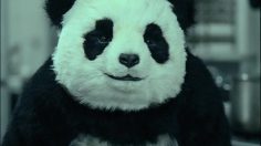 poster-20382-arab-dairy-panda-cheese-kitchen-236x132