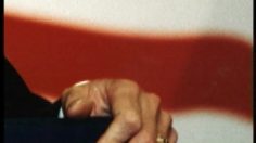 poster-204-cleanit-make-up-remover-lipstick-trace-236x132