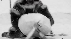 poster-20408-dos-equis-beer-ice-fishing-236x132