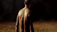 poster-20424-bbc-radio-4-bull-236x132