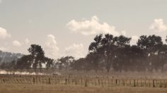 poster-20426-santander-rio-hair-conditionning-236x132