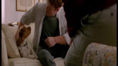 poster-20465-newcastle-brown-ale-favorite-236x132