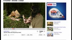 poster-20488-tipp-ex-a-hunter-doesn-t-want-to-shoot-the-bear-236x132