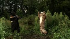 poster-20495-tipp-ex-a-hunter-be-a-bear-236x132