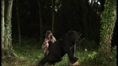 poster-20496-tipp-ex-a-hunter-farts-a-bear-236x132