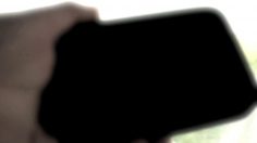 poster-20531-wwf-protection-animaux-elephant-236x132