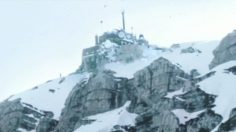 poster-20533-wwf-protection-animaux-ours-236x132