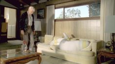 poster-20540-skittles-fizzl-d-fruits-couch-236x132