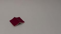 poster-20546-idn-bird-236x132