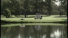 poster-20657-bundaberg-rhum-favourable-lie-236x132