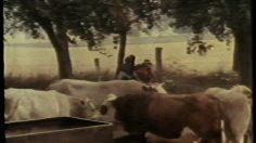 poster-2067-mars-tandem-236x132