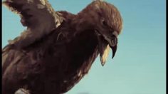 poster-20671-fantasy-enhancer-ii-the-dawn-of-fantasy-football-236x132