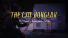 poster-20777-farmers-insurance-the-cat-burglar-236x132