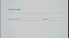 poster-20791-frank-net-friendweb-236x132