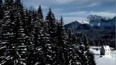 poster-20817-citroen-c5-so-german-236x132