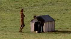 poster-20845-jc-penney-beware-of-the-doghouse-236x132