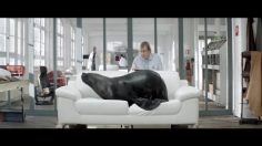 poster-20919-cuir-center-phoque-236x132