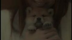 poster-20931-ntt-docomo-sooo-cute-236x132