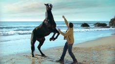 poster-20945-atg-v75-a-love-story-236x132