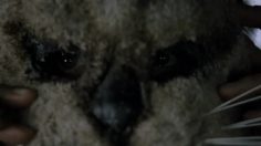 poster-20951-dodge-grand-caravan-kittens-236x132