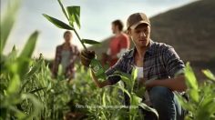 poster-20964-canada-dry-ginger-ale-jack-s-ginger-farm-236x132