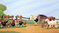 poster-20967-aujourd-hui-en-france-poule-236x132